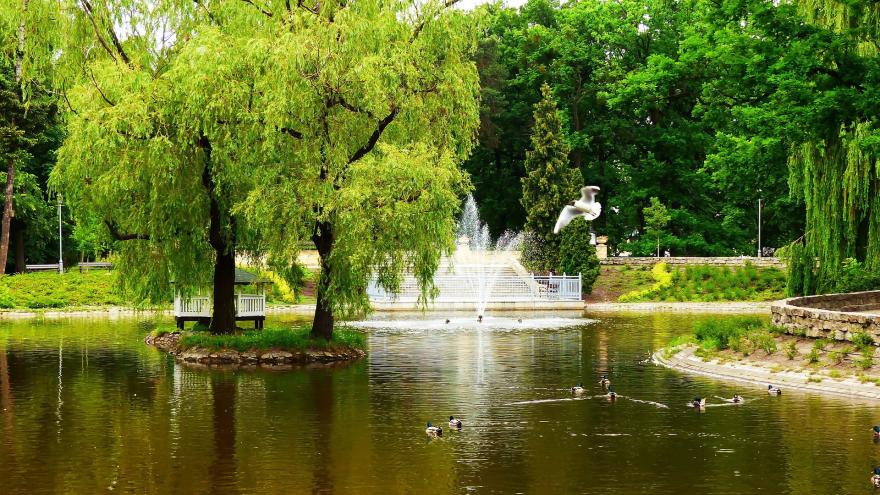 parque con fuente