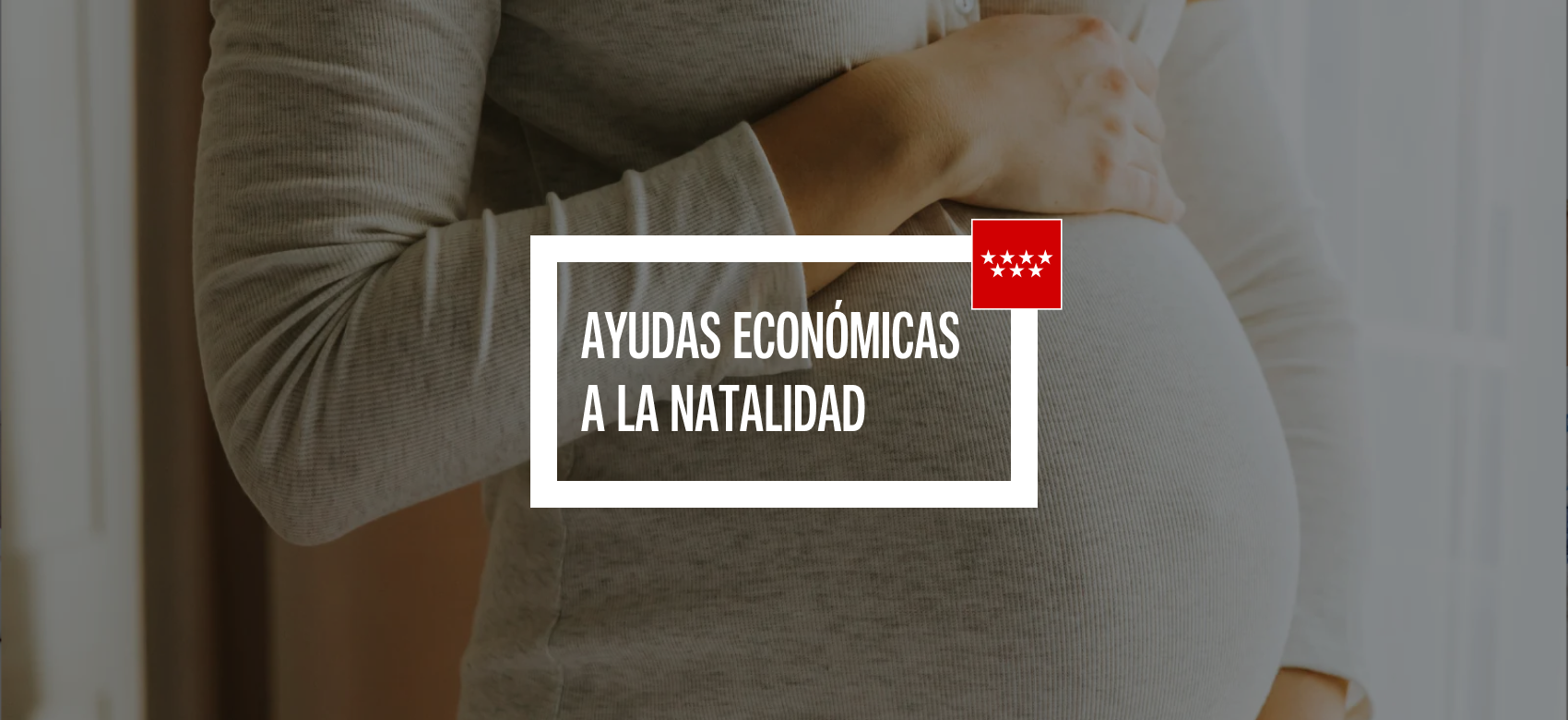 Miniatura del vídeo Ayudas Económicas a la Natalidad