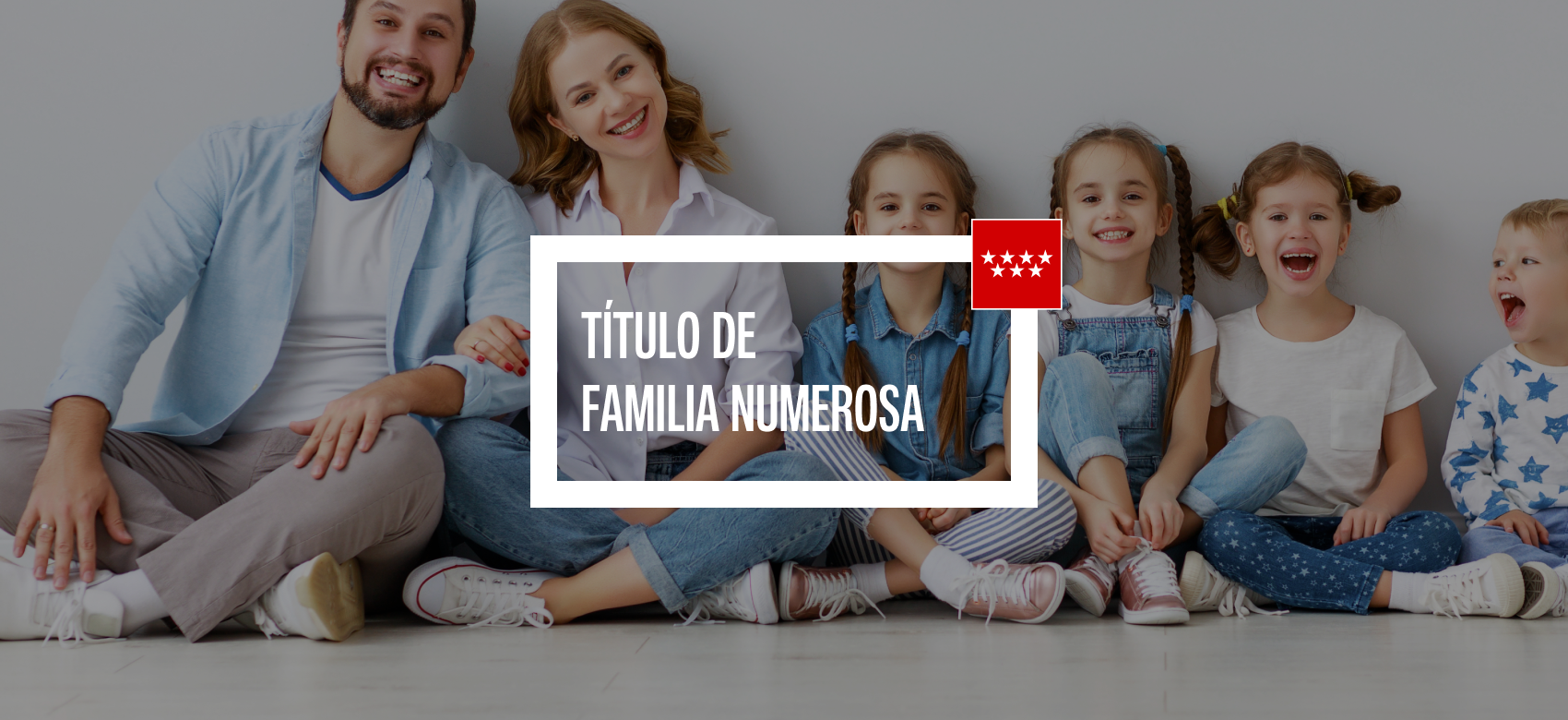 Miniatura del vídeo Título de familia numerosa